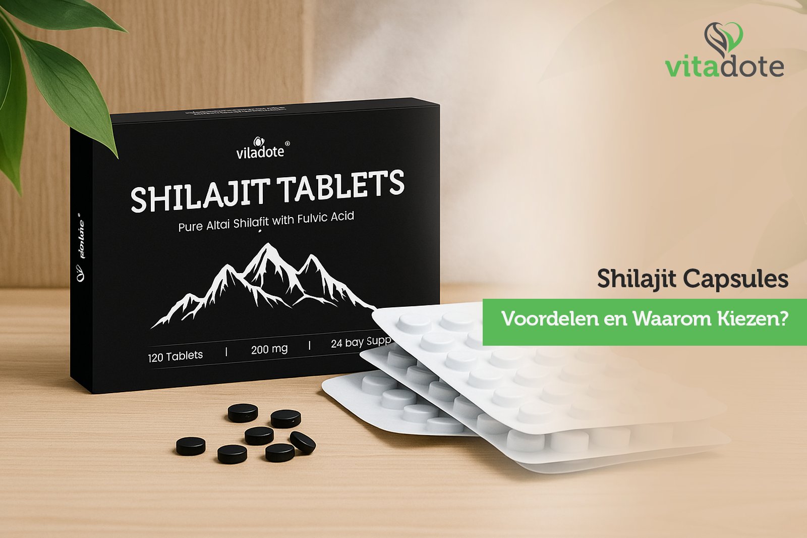 Shilajit Capsules: Voordelen en Waarom Kiezen?