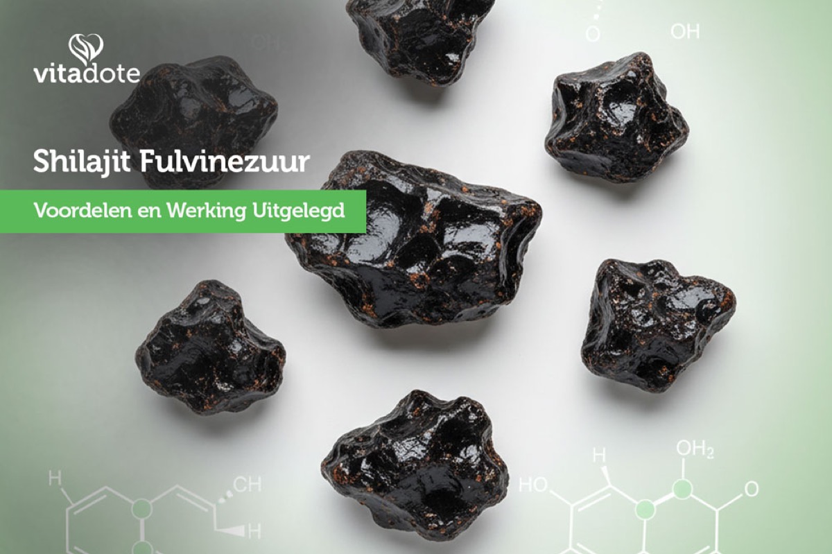Shilajit Werking: 5 Cellulaire Mechanismen (2026 Lab-Getest)