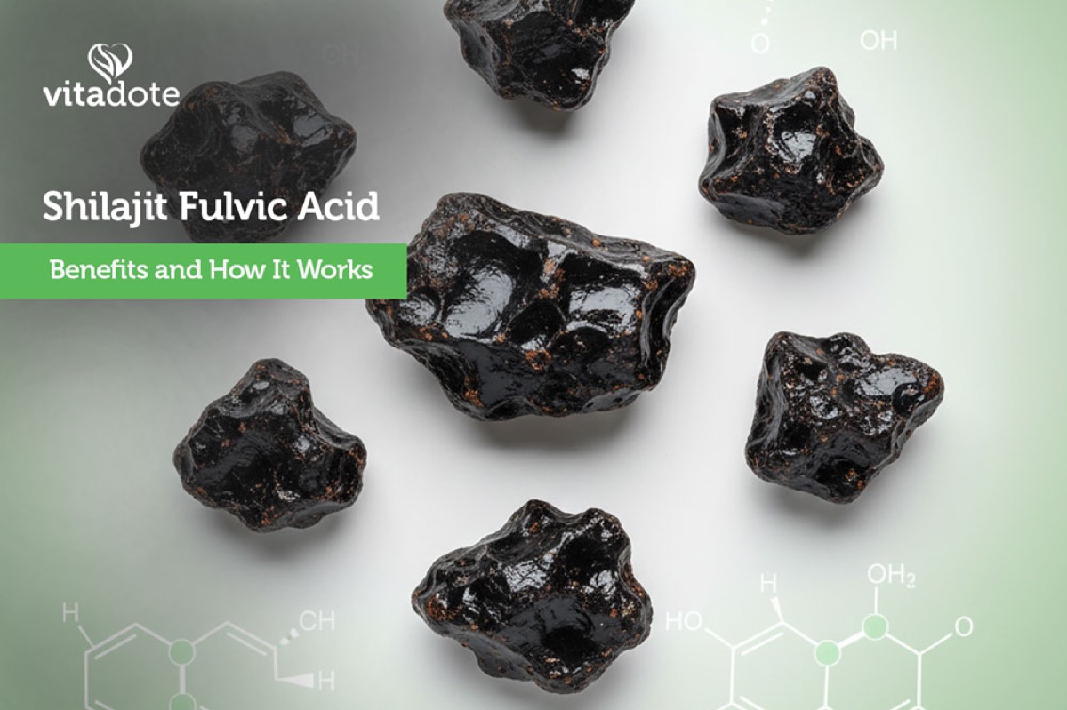 How Shilajit Works: 5 Cellular Mechanisms (2026 Lab-Tested)