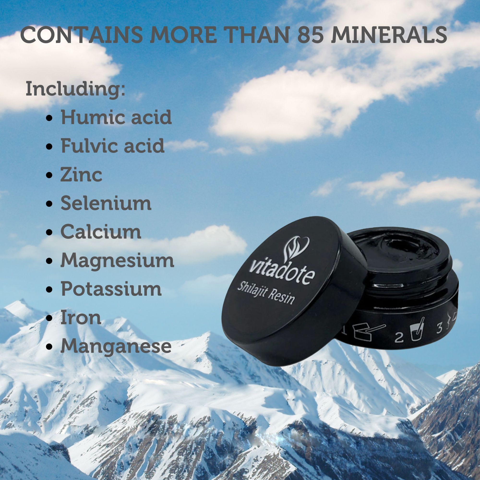 Vitadote shilajit resin ingredients